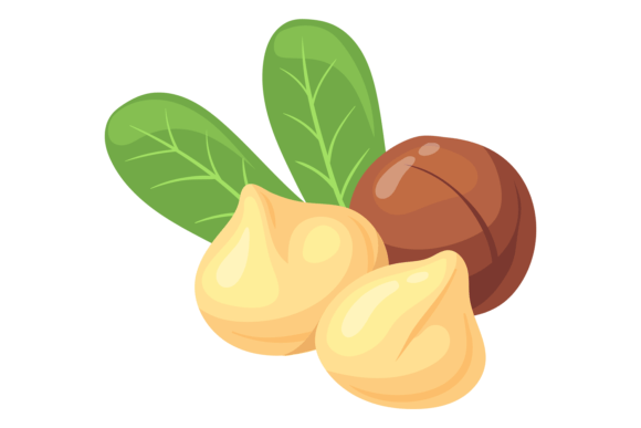 Download Macadamia Nut Cartoon Icon. Healthy Prot - Premium Resources